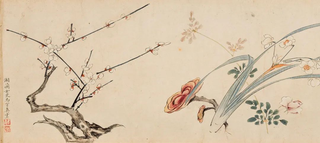 明 马守真 《设色花卉卷(局部)》,潘达于 1956年捐赠