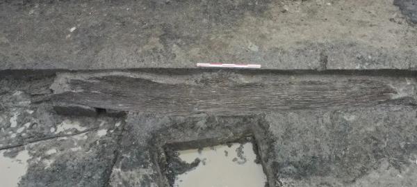 图三  施岙独木舟