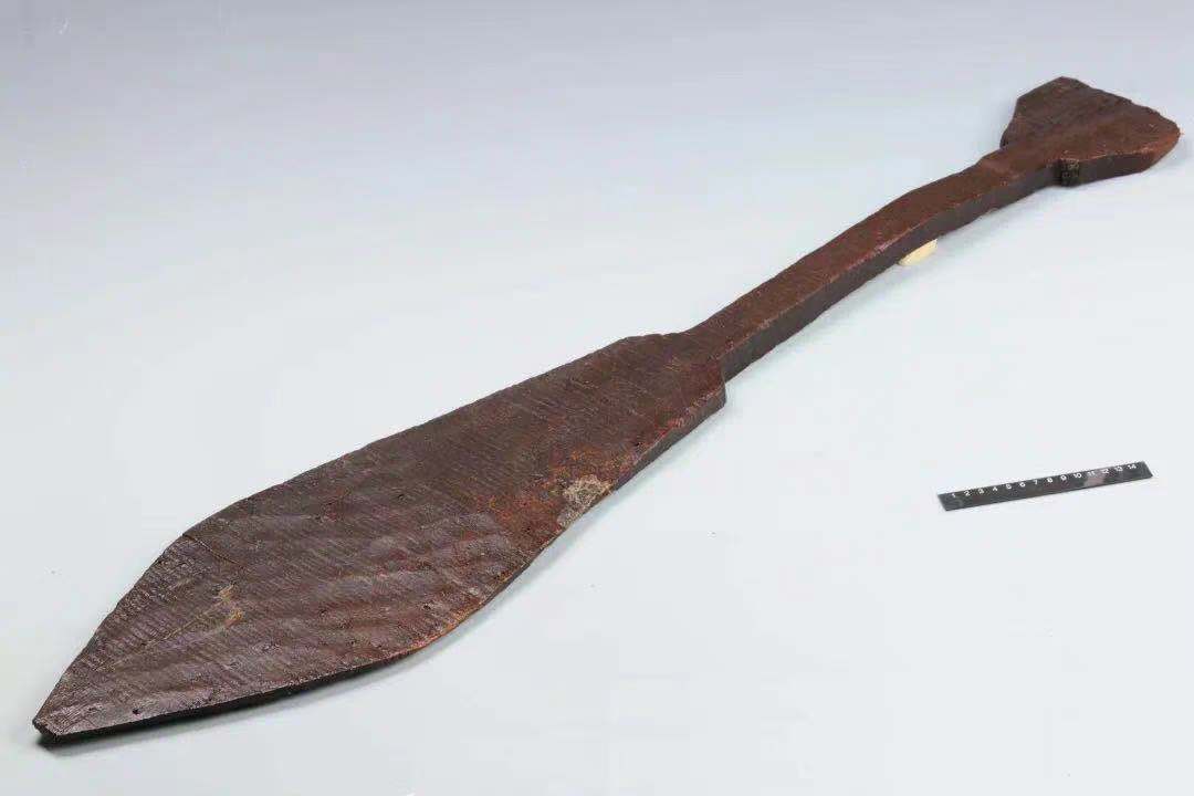 图五 田螺山出土木浆