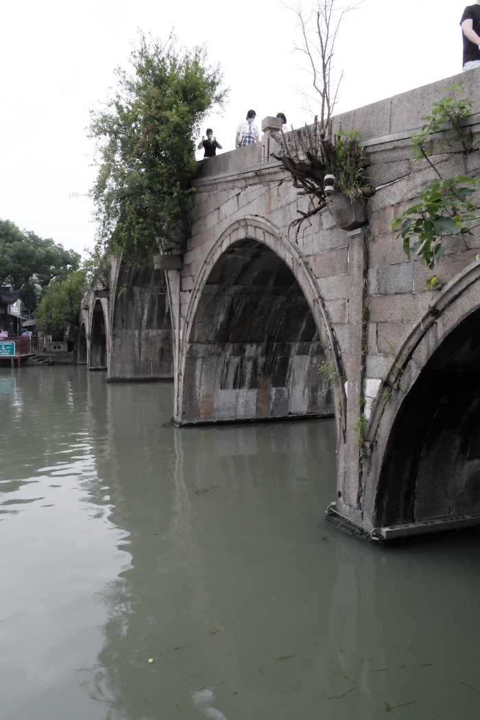 自然生长在放生桥桥缝里的石榴树