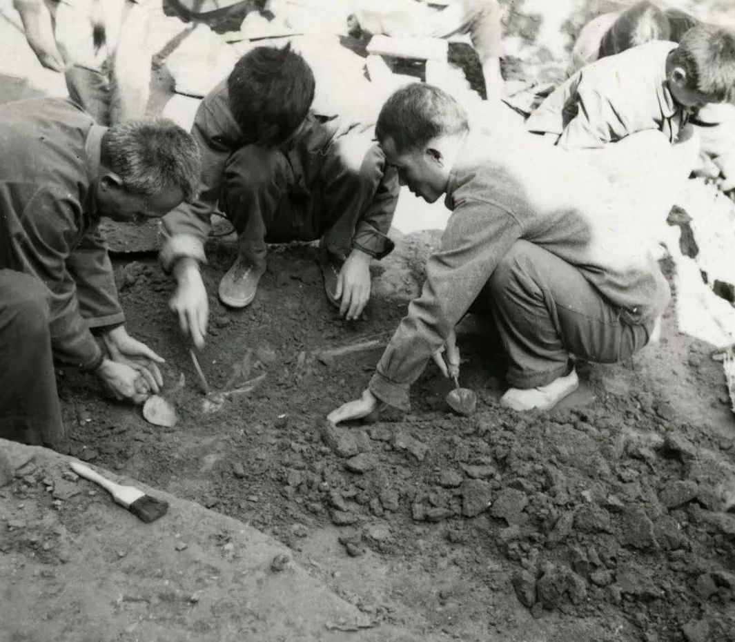 1975年巫山大溪遗址发掘
