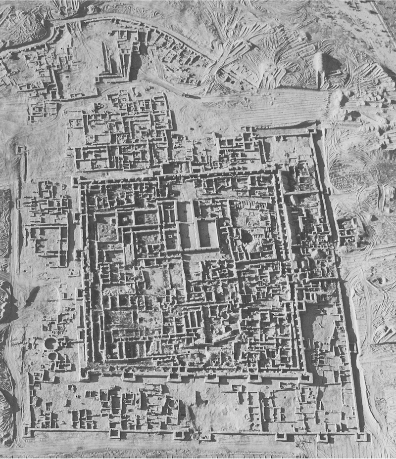 图4 木鹿绿洲（土库曼斯坦南部）中的青铜时代(约公元前2500-前1800年)城址（图片来源：©Margiana Archaeological Expedition）