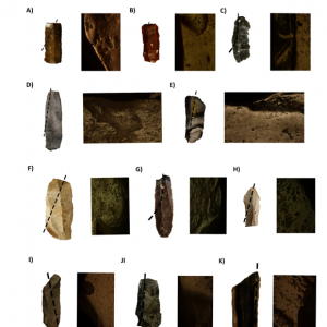CSIC：墓里石器是5000年前欧洲性别分工的证据
