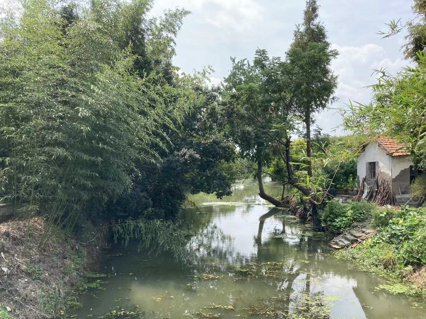 遗址范围内的河港
