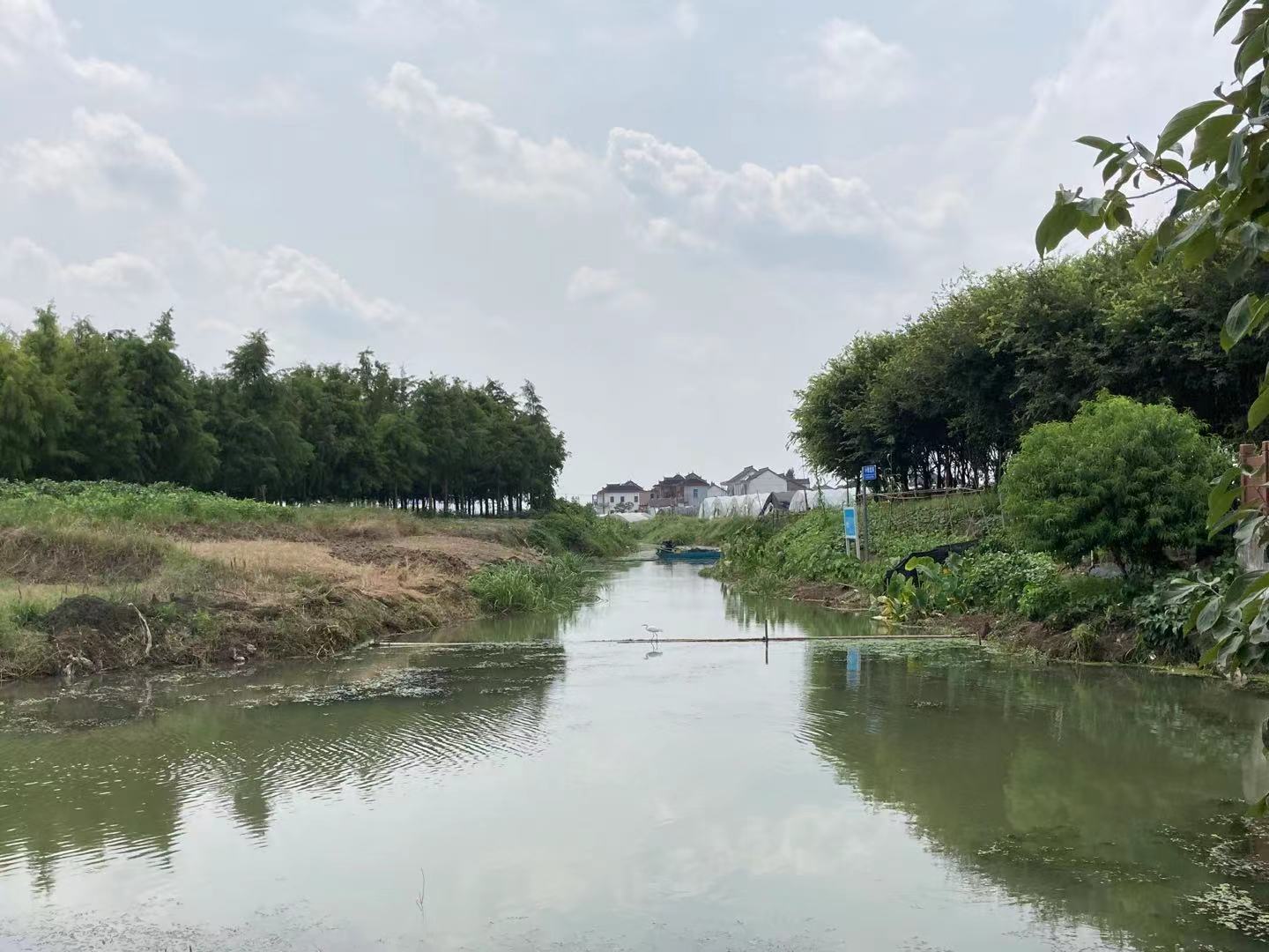 遗址范围内的河港