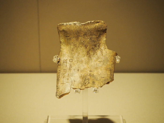 潘景郑捐赠刻辞牛胛骨