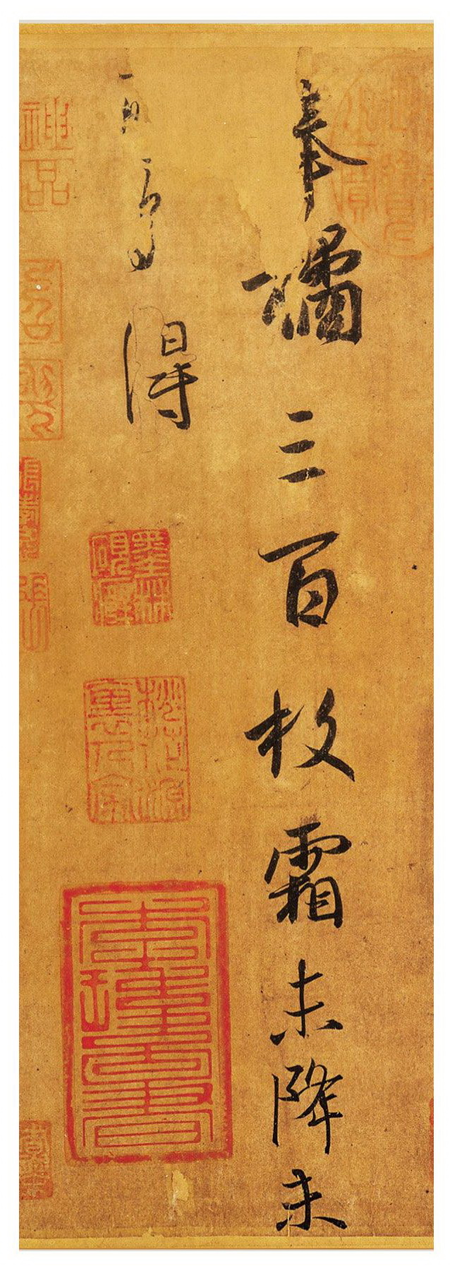 东晋 王羲之《奉橘帖》