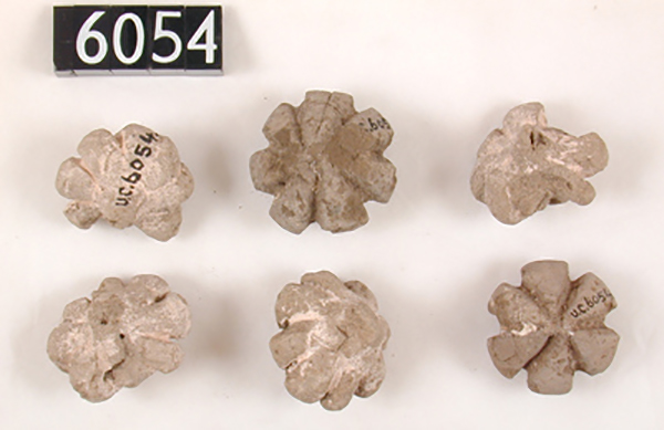 涅伽达260号墓中出土的泥制大蒜模型,前王朝,约公元前3500年,皮特里埃及考古博物馆(Petrie Museum of Egyptian Archaeology UC6054)