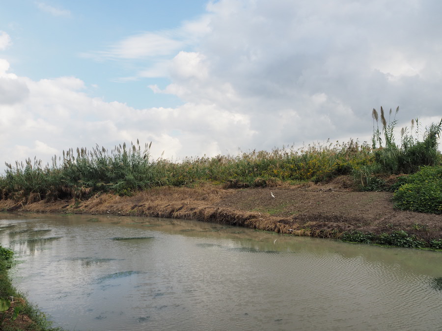 崧泽遗址博物馆周边环境