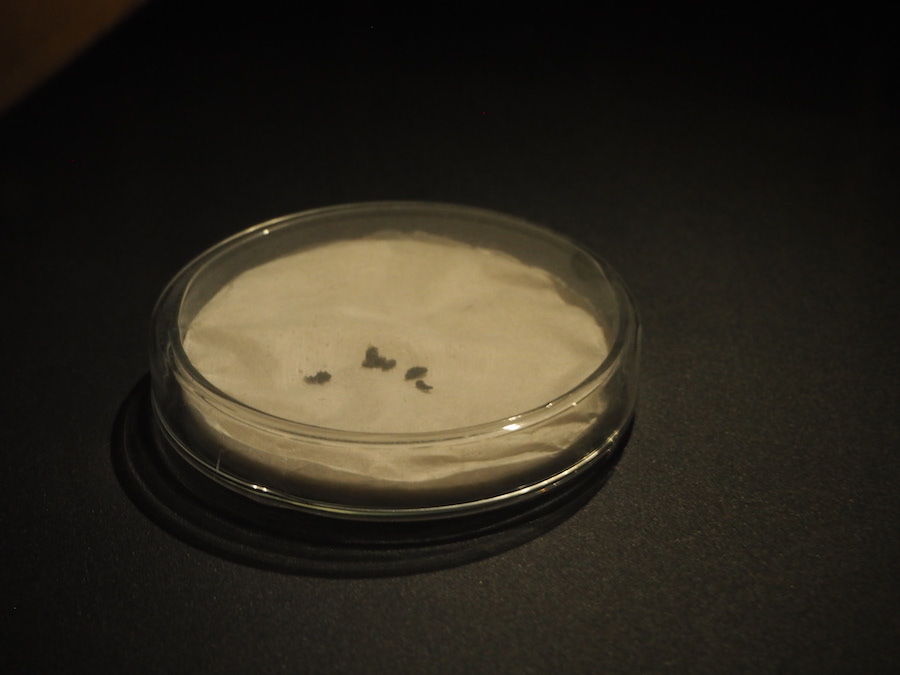 复原的“上海第一稻”