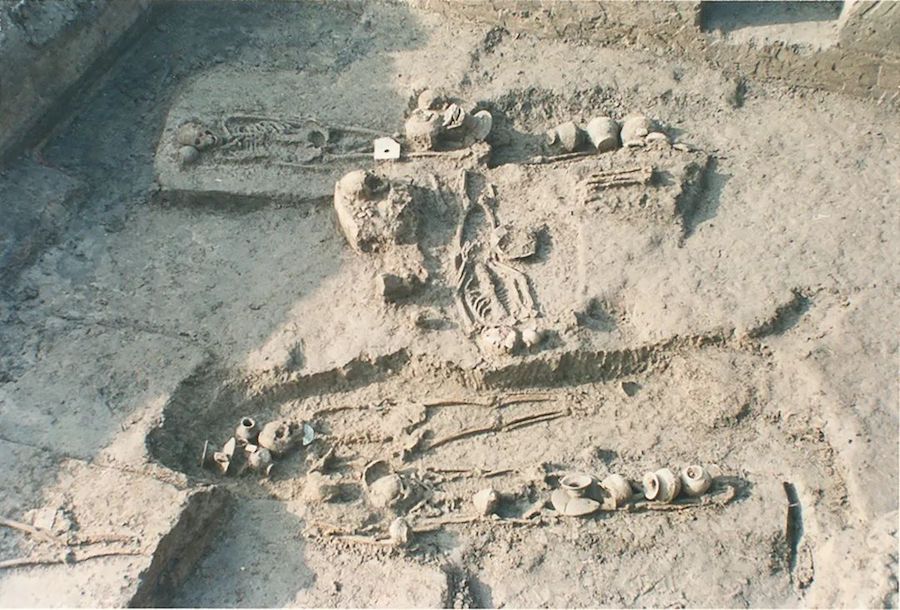 崧泽遗址1994-1995年清理墓葬