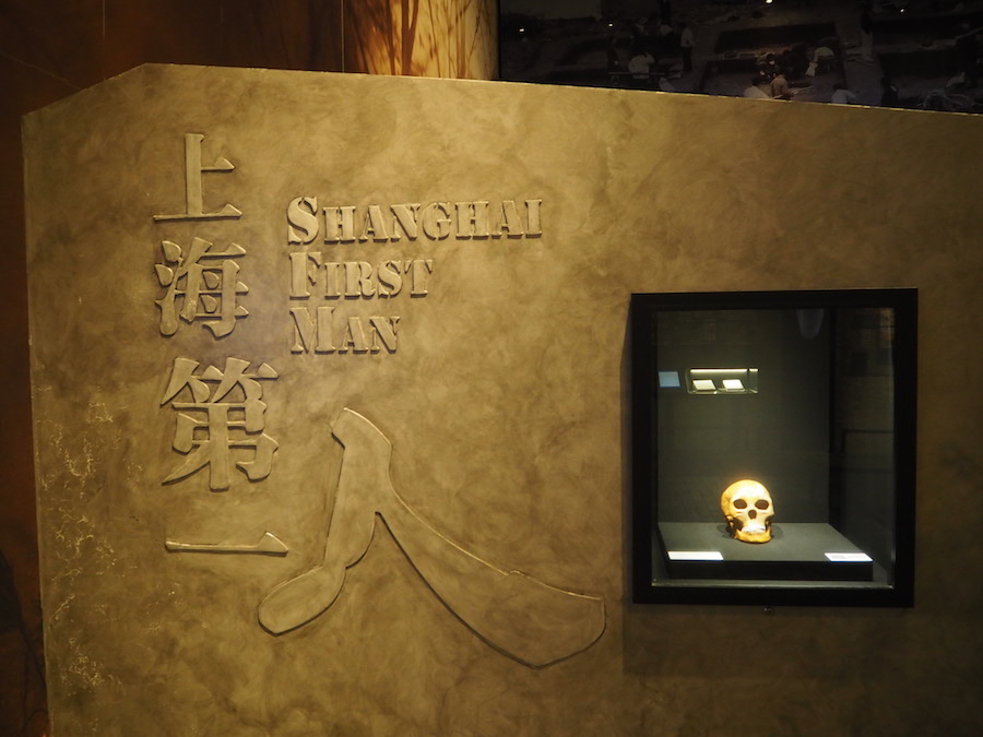 复原的“上海第一人”