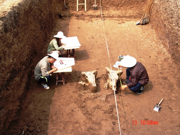 考古工作人员在测绘M1墓葬内出土的牛头。左一是我，左二是时任张家川县博物馆副馆长苏银花，右一是张家川县博物馆馆长马明远。