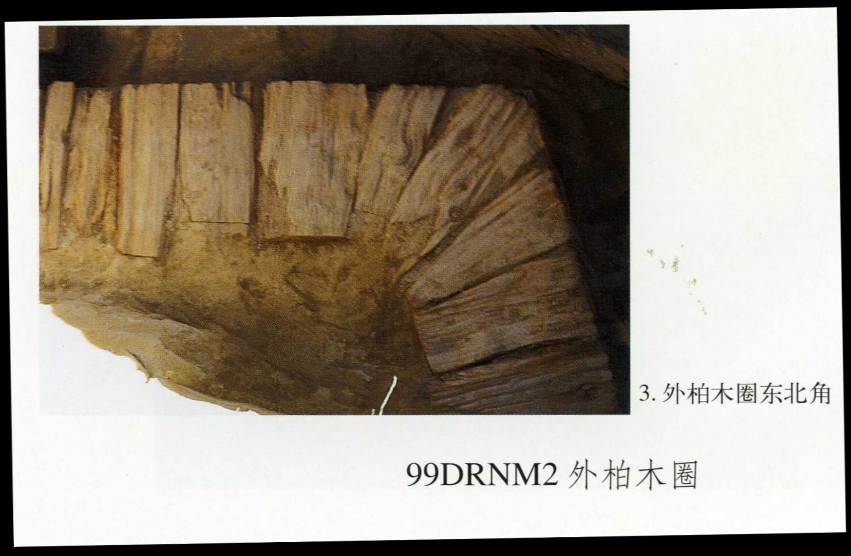 99DRNM2出土的柏木板垫石圈
