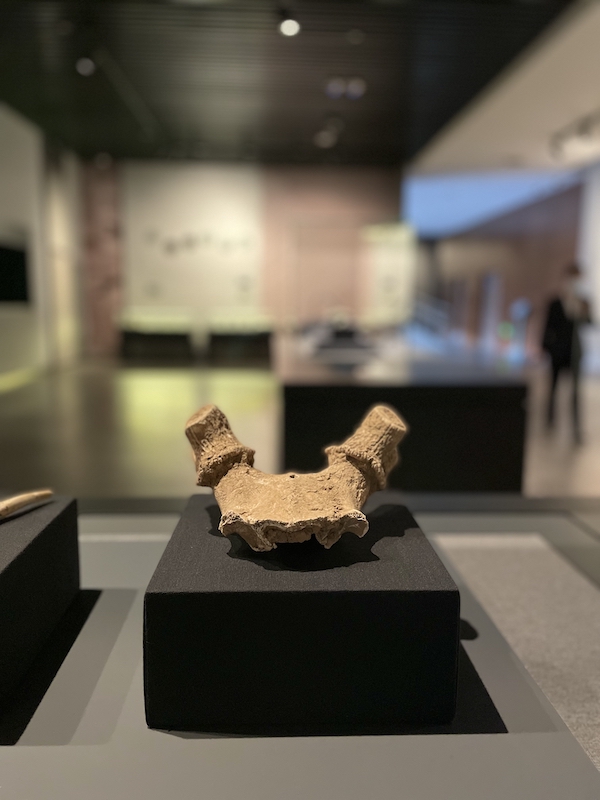 角料 夏代 工具 2001年二里头遗址出土