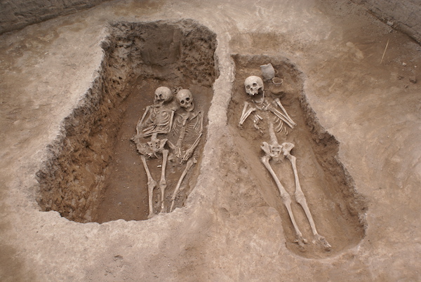 竖穴土坑墓结构