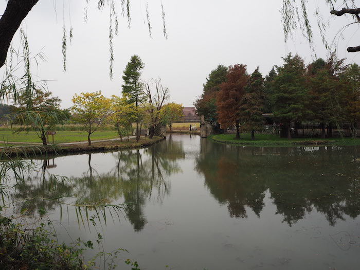 广富林文化遗址公园内水网密布