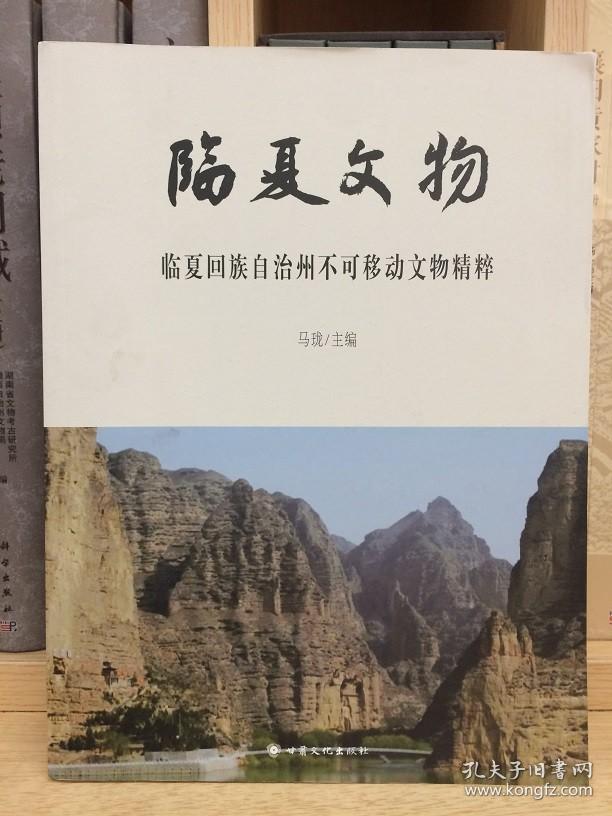 正版临夏文物临夏回族自治州不可移动文物精粹