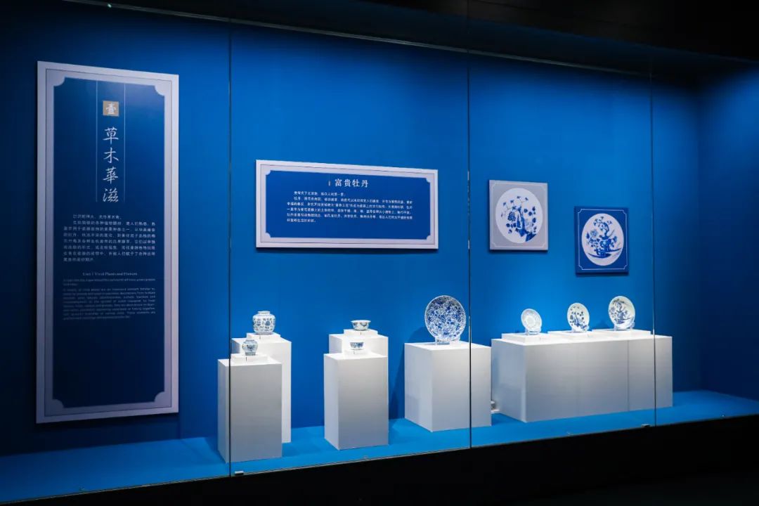展览现场