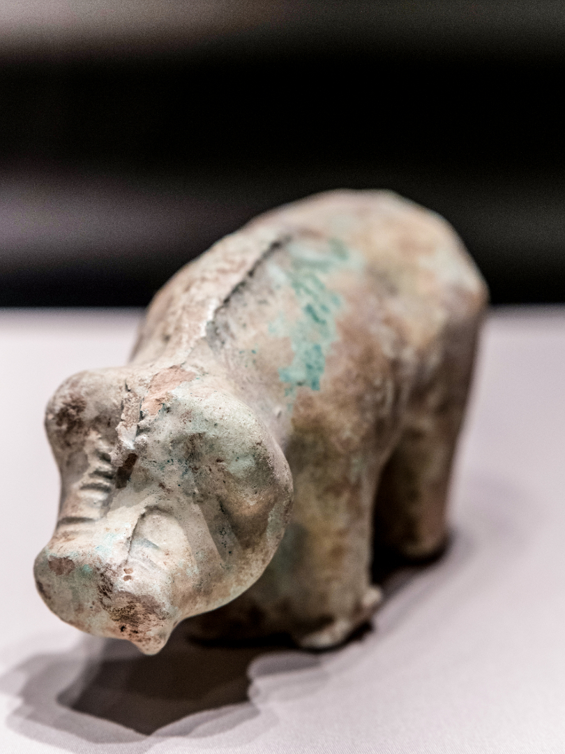 绿釉陶猪 东汉 厦门市博物馆藏