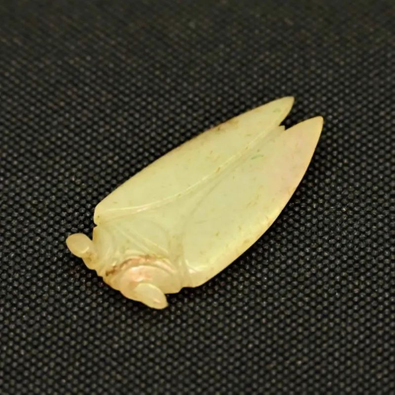 汉 玉蝉东