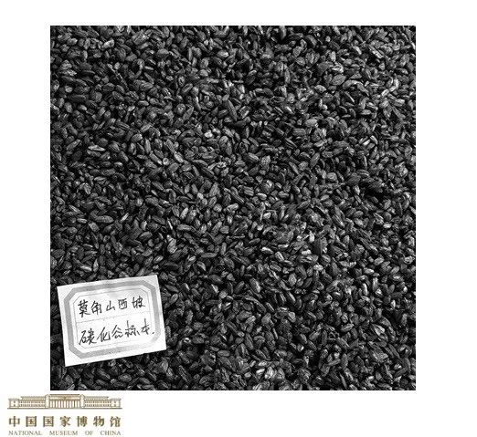 展厅现场 摄影:陈拓