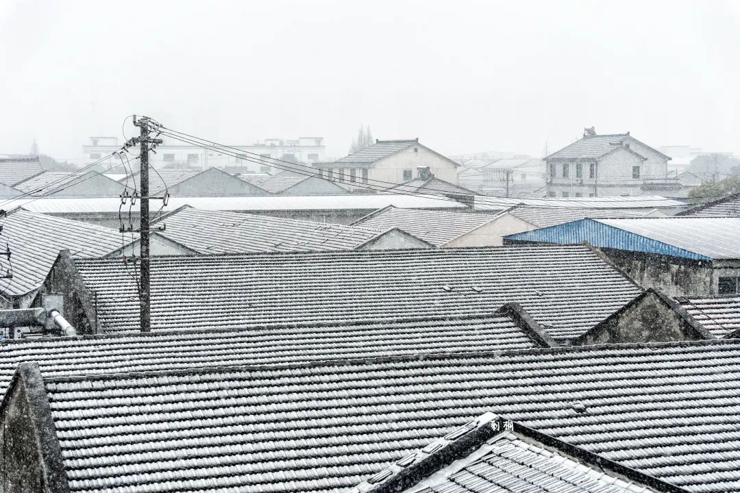 苏州雪景 (图源自苏州发布)