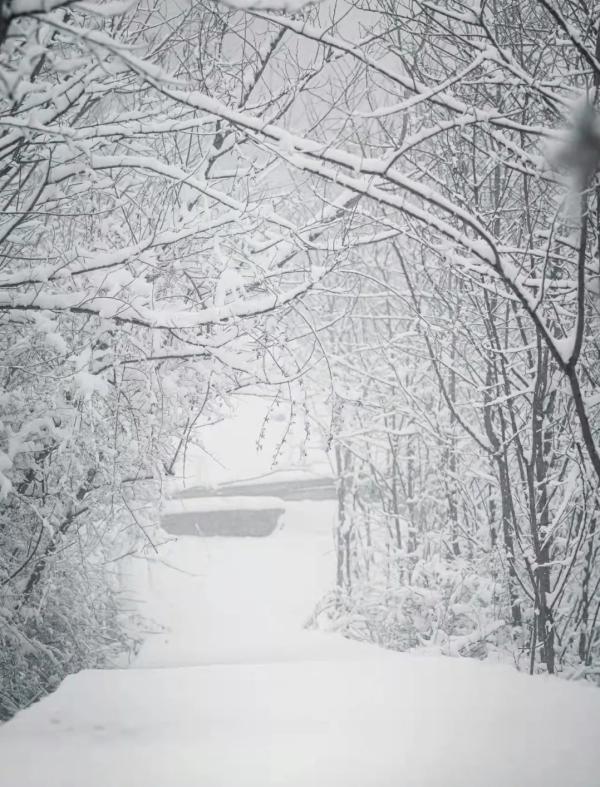 苏州雪景 图源自苏州发布
