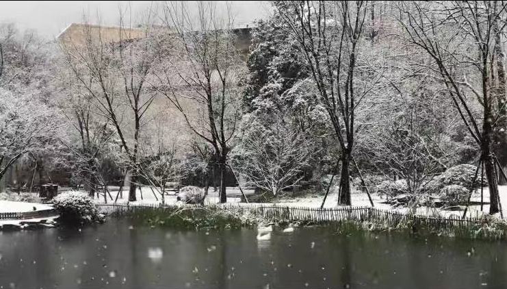 中国丝绸博物馆雪景
