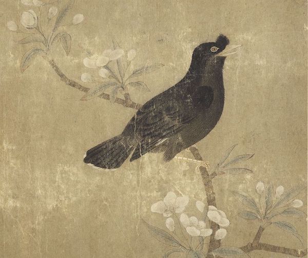 宋 无款 《梨花鸲鹆》(局部) 选自“历代画幅”集册 台北故宫博物院藏