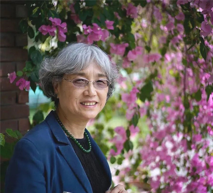 段晴(1953-2022)