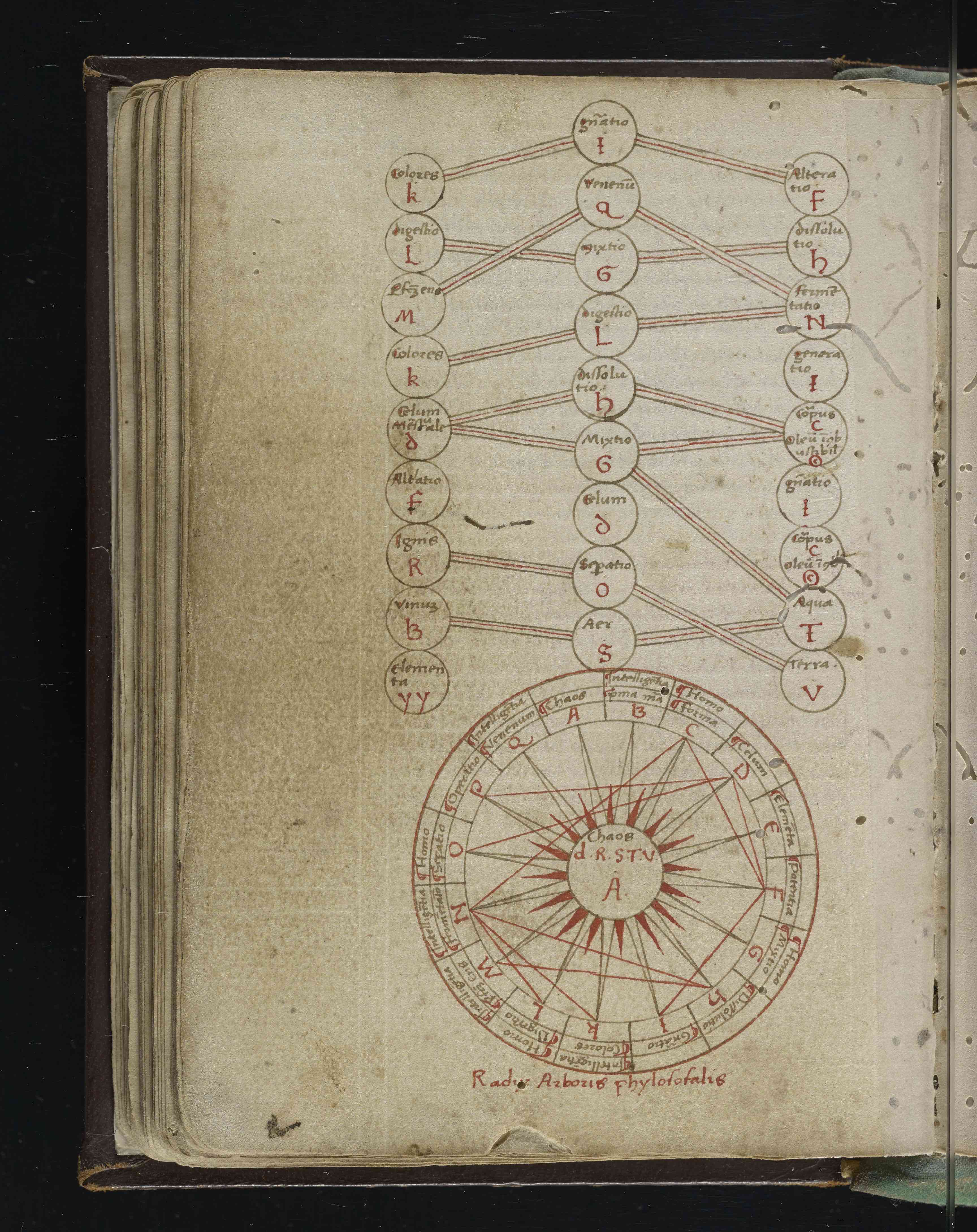 假于雷蒙·卢尔名下，《自然的秘密之书》，约1498年（威尼斯）