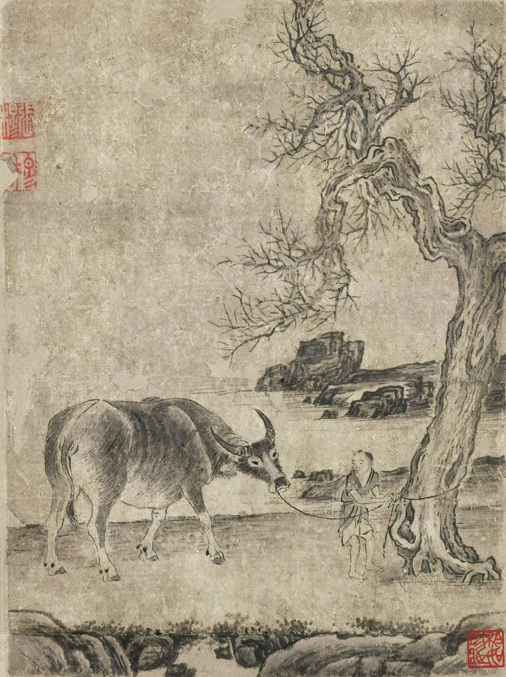 (明) 张穆 牧牛图册·回首 纸本设色 纵23.7厘米 横17.7厘米 杨铨先生捐赠 广州艺术博物院藏