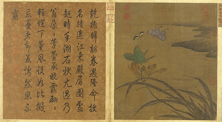 (传)宋 黄居寀 萱花蛱蝶 本幅选自台北故宫博物院藏“宋元明集绘册”