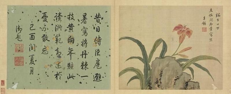 清蒋廷锡 写生花卉册 萱花 台北故宫博物院藏