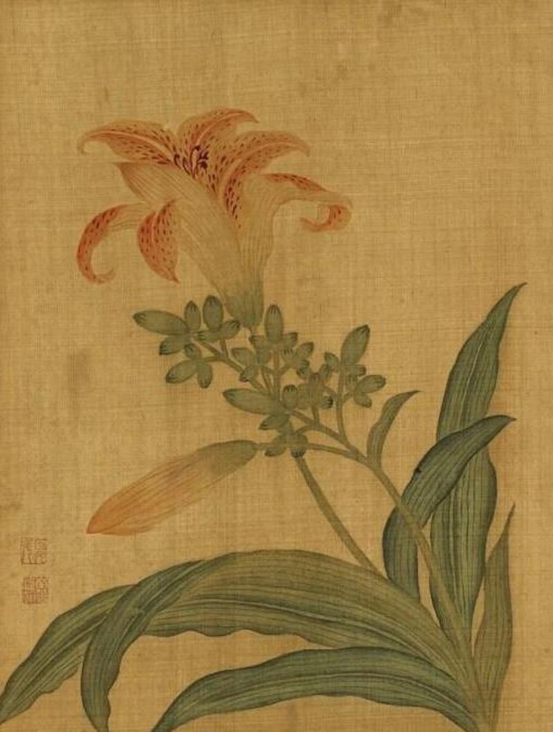 清 邹元斗 花卉册 萱花 台北故宫博物院藏