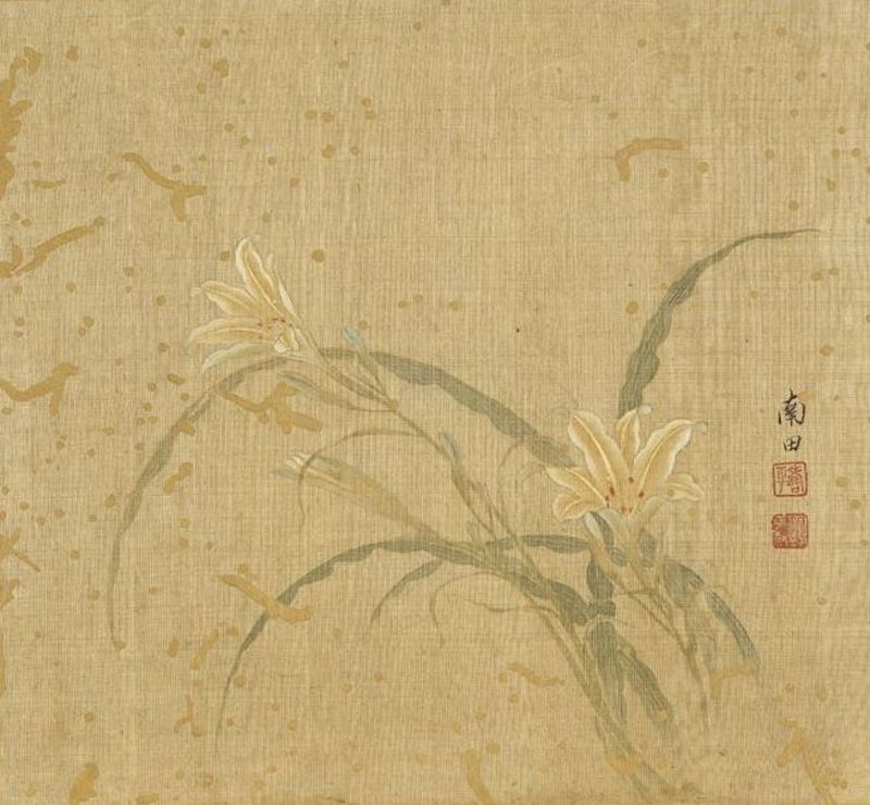 清 恽寿平 萱花 本幅选自台北故宫博物院藏恽寿平“画花卉册”