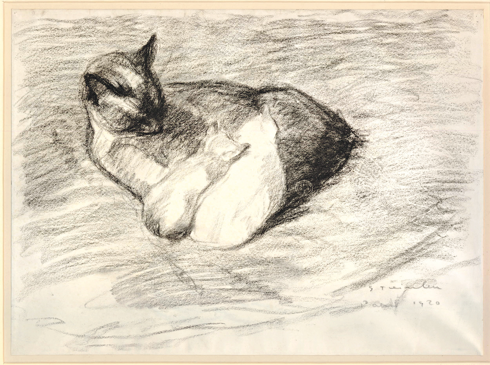 19 世纪晚期法裔瑞士画家斯坦伦(Théophile Alexandre Steinlen)笔下的猫