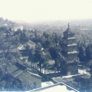 终南山下的兴教寺，97年前的一段传奇