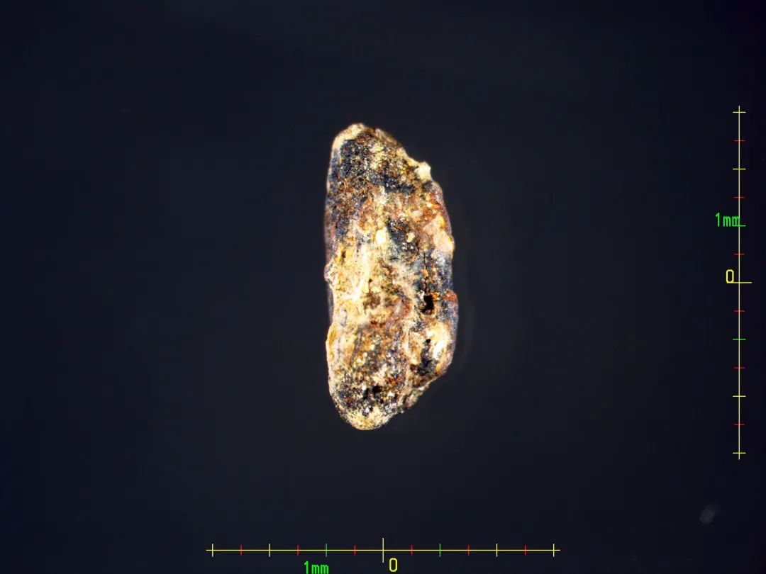 最早的炭化稻米。新石器时代·上山文化（距今约11000-8500年），2006年浙江省浦江上山遗址出土