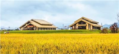 上山遗址保护展示馆外观 上山考古遗址公园供图