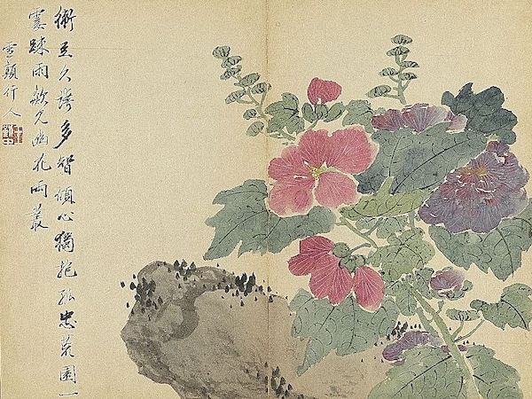 清 王武 画花卉 册 拳石蜀葵 台北故宫博物院藏