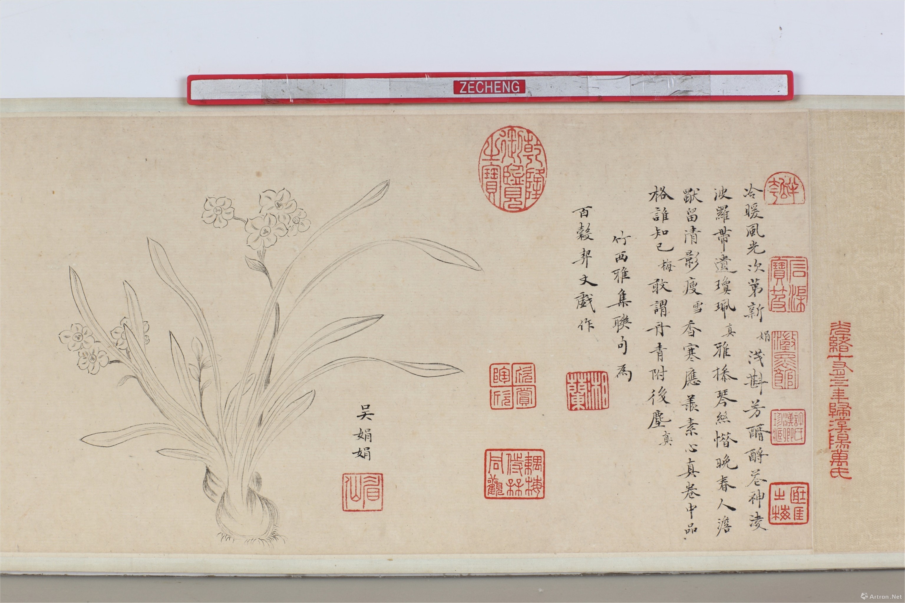 明马守真等四人合作花卉图卷局部