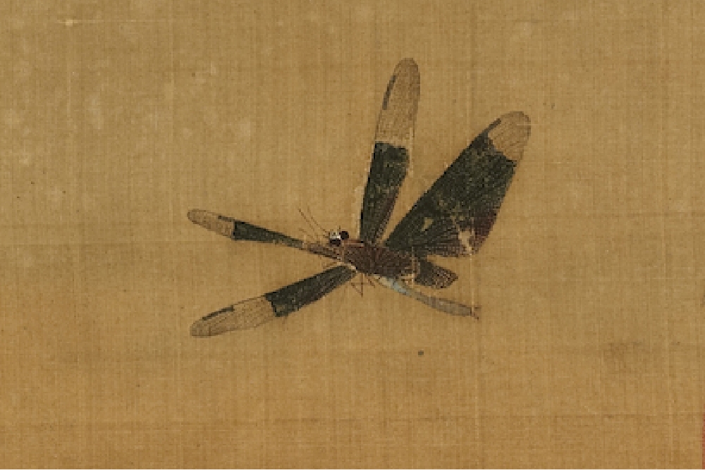 宋 许迪 野蔬草虫(局部蜻蜓)
