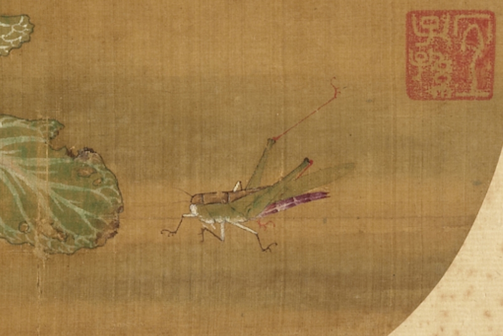 宋 许迪 野蔬草虫(局部蝗虫)