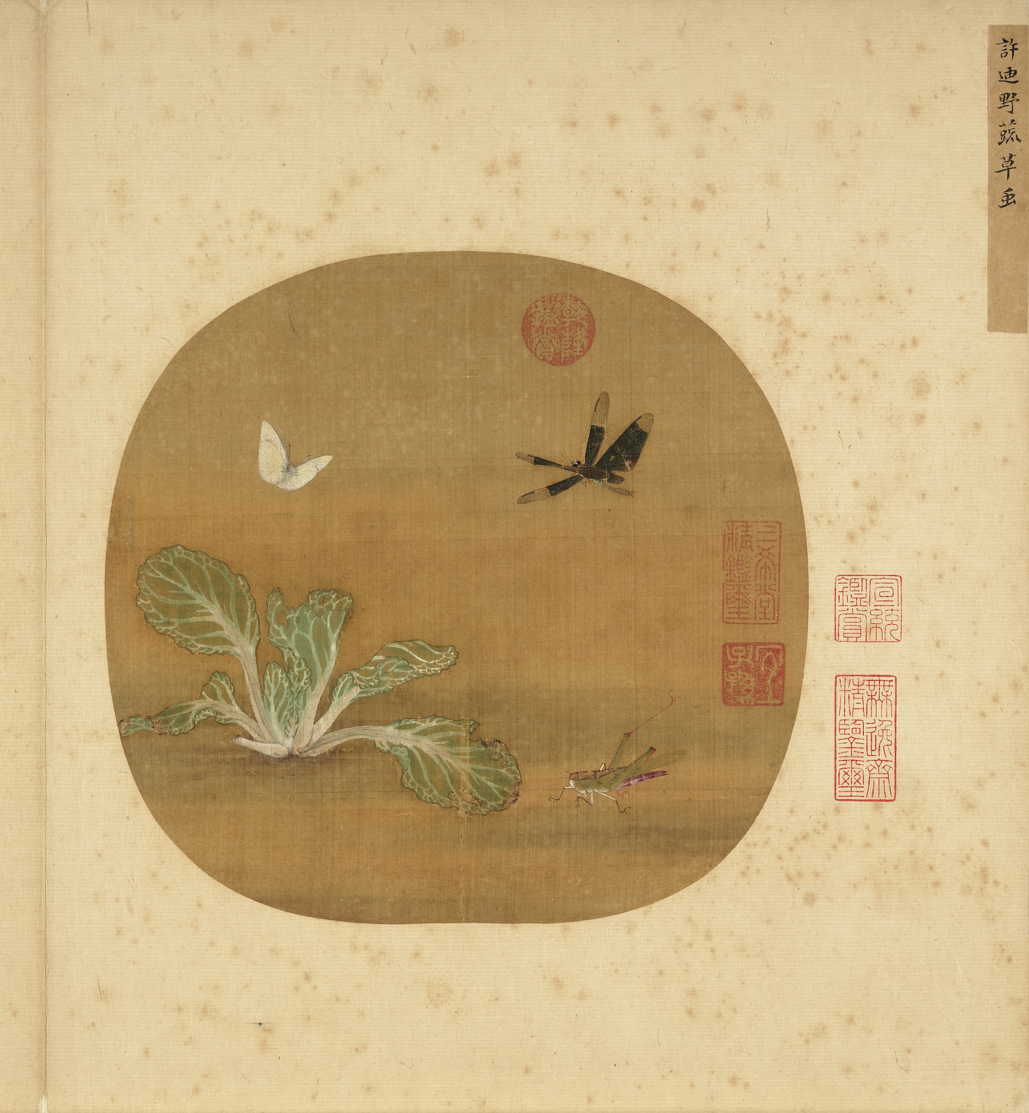 宋 许迪 野蔬草虫