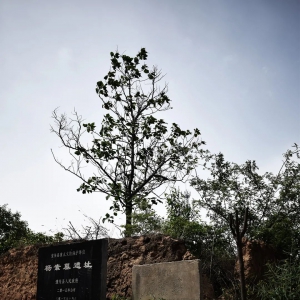 杨素墓遗址