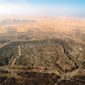 Sygnak