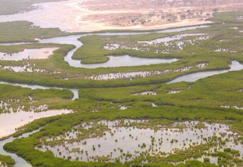 萨卢姆三角洲国家是一个规模宏大的湿地公园