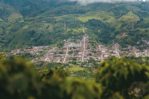 哥伦比亚咖啡文化景观